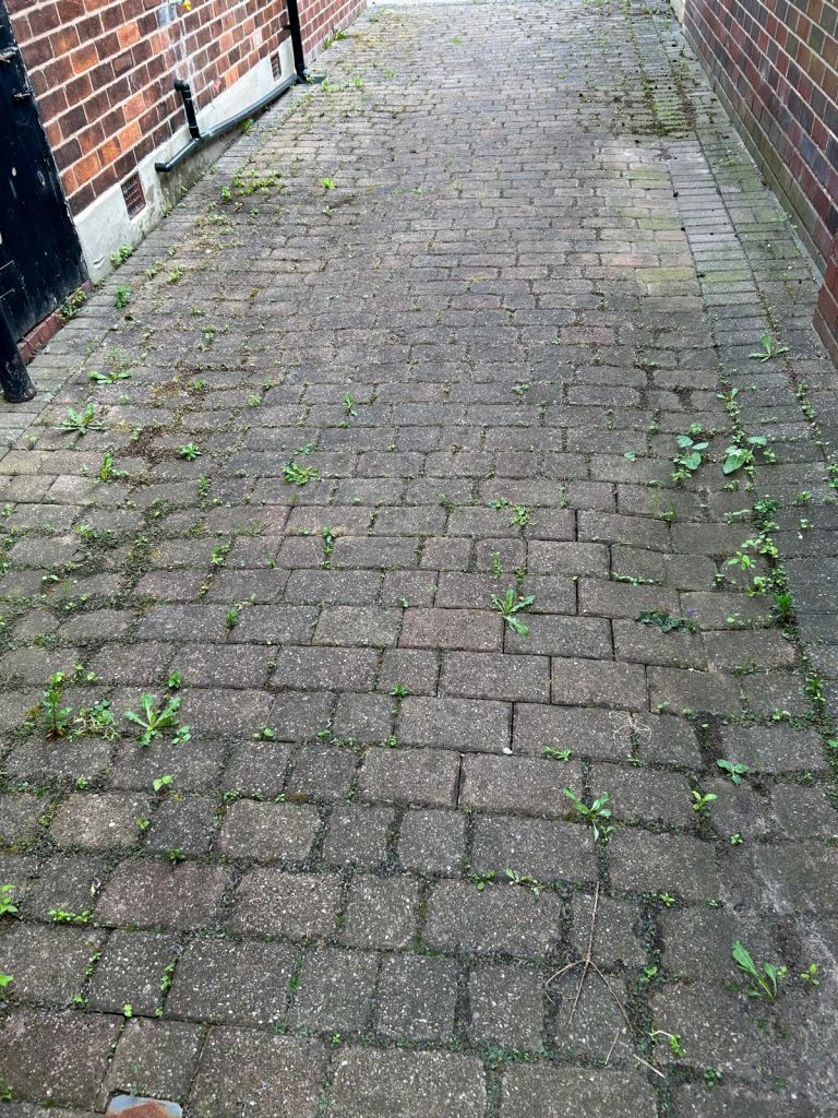 A before image of a dirty driveway